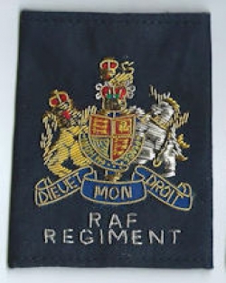 RAF  Regiment WO Rank Slides